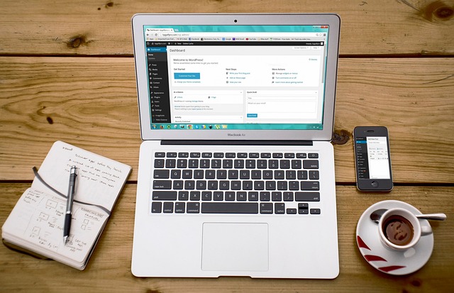 case study content