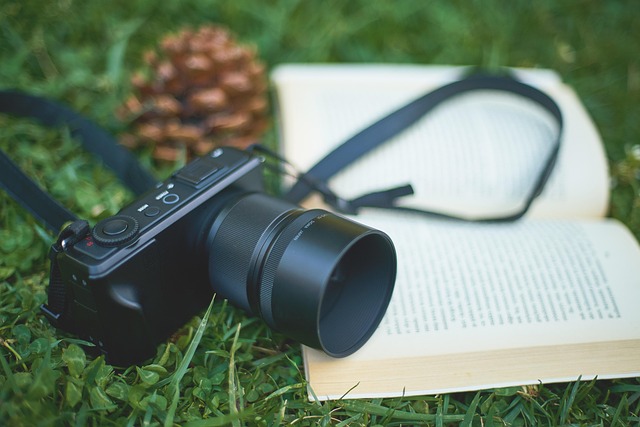 Screenwriting vs Novel Writing 