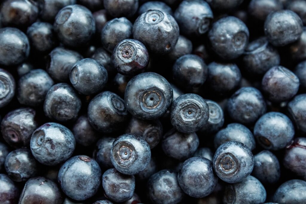 Nutrition and Dietetics Content Writing
