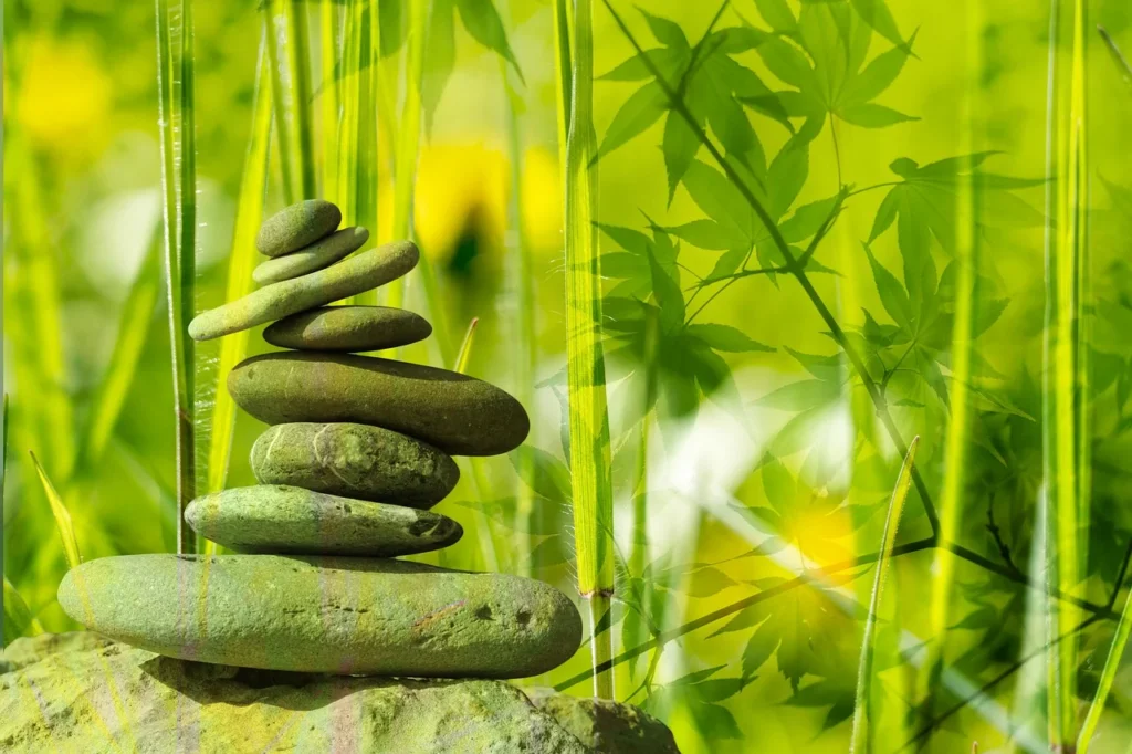 Wellness and holistic health content 